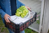 A person holding a crate full of fresh vegetables outdoors with delivery documents.