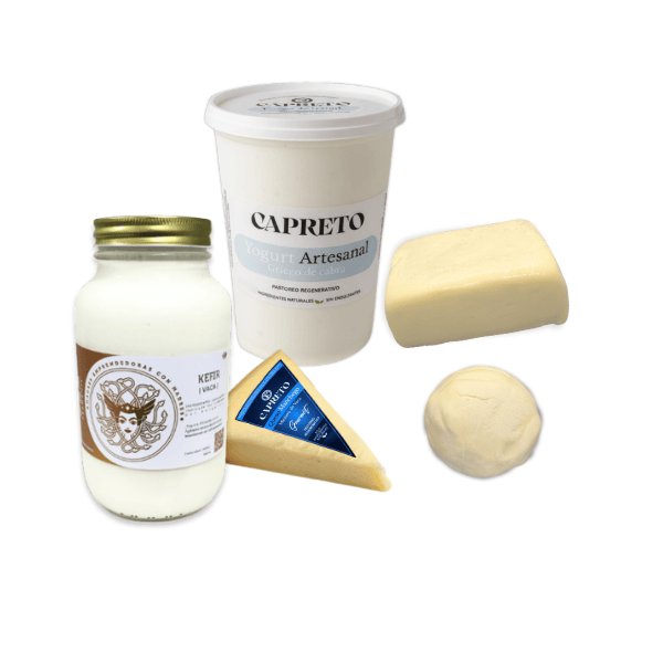 Lácteos y Fermentos